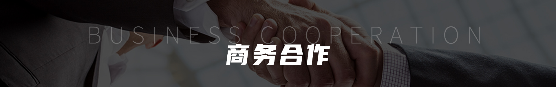 图片展示